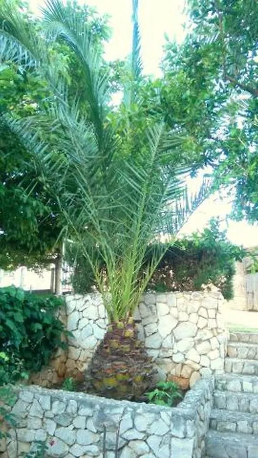Apartment In Okrug Gornji With Sea View, Balcony, Air Conditioning, Wifi 5167-2 Trogir